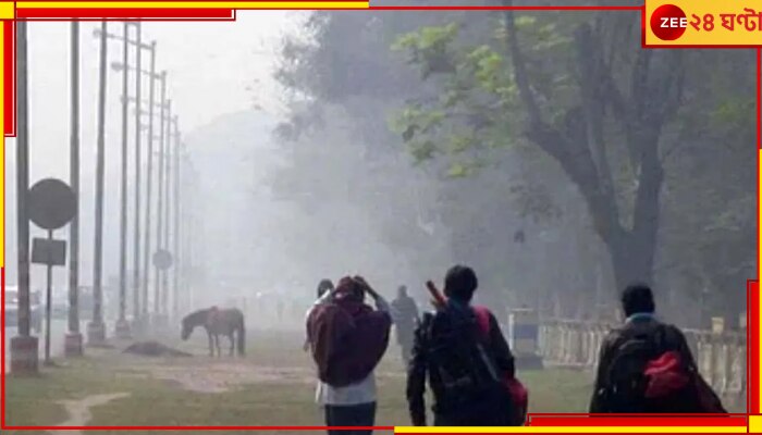 WB Weather Update: আগামিকাল আকাশ থাকবে মেঘলা, বৃষ্টিও হতে পারে দক্ষিণের এইসব জেলায়