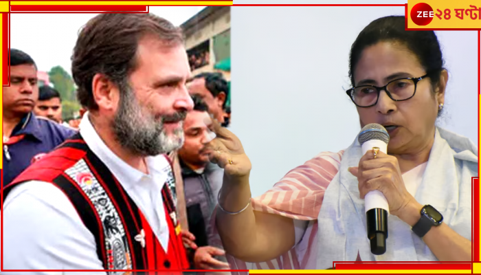 I.N.D.I.A Bloc: মমতায় 'আত্মবিশ্বাসী', লোকসভায় জোটের আসন সমঝোতা নিয়ে আশাবাদী রাহুল  