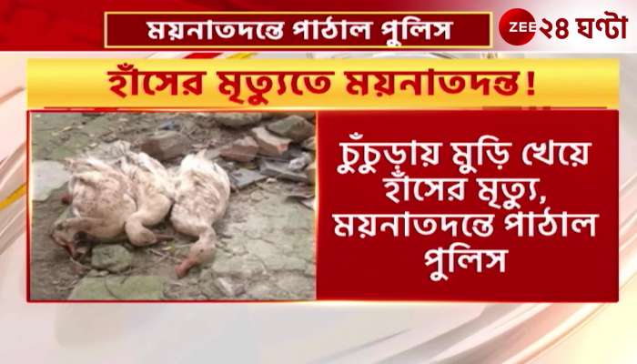 Duck murder is not excused Dead pet in Hooghly sent to Kolkata for autopsy