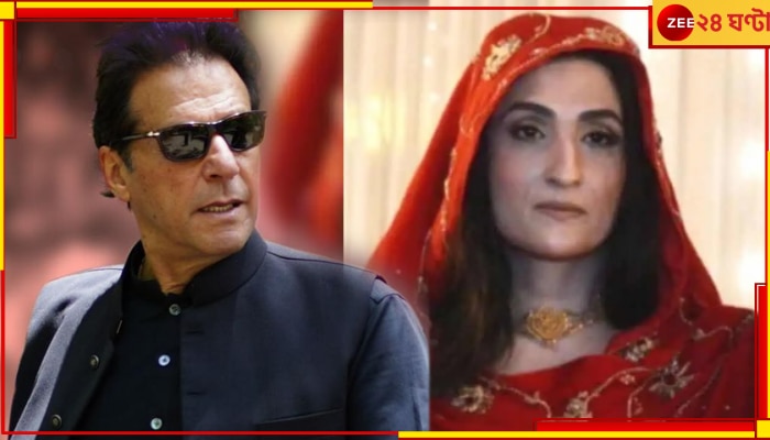 Imran Khan jailed: তোষাখানা মামলায় ইমরান ও তাঁর স্ত্রীর ১৪ বছর কারাদণ্ড, বিপুল টাকা জরিমানা