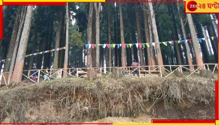 Malbazar: শীত ও সৌন্দর্যের খোঁজে পর্যটকদের ভিড় ক্রমশ বাড়ছে পাহাড়ে...