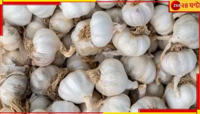 Garlic Price Soaring: রসুন ৫০০ টাকা কেজি, বাঙালির চোখে জল! জেনে নিন কবে কমবে দাম...