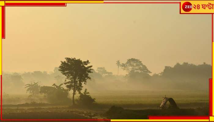 Weather Update: আবার ফিরবে শীত? পড়বে ঠান্ডা? পূর্বাভাসে বড় আপডেট...!