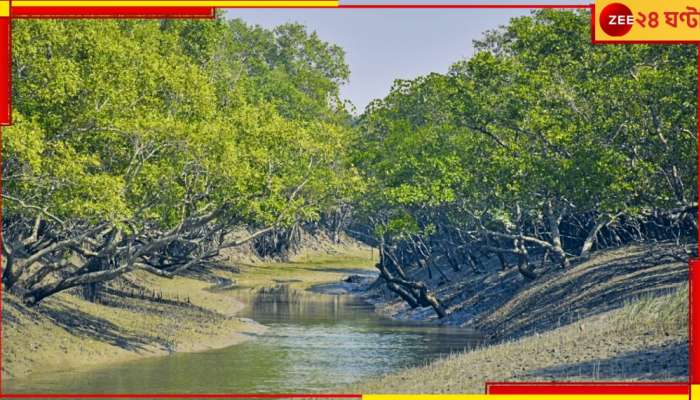 Canning: প্রকাশ্যেই পাচার হচ্ছে ম্যানগ্রোভ! ভয়ংকর বিপন্ন হয়ে পড়ছে পরিবেশ...