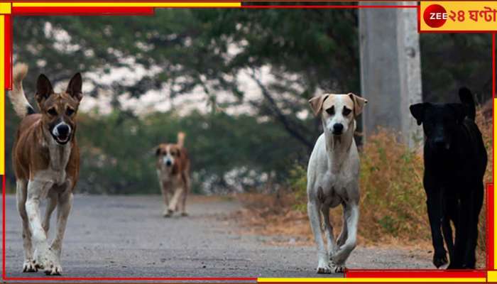 Punjab: যুবতীকে ছিঁড়ে-খুবলে মারল ২০ পথকুকুর!