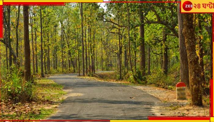 Durgapur: সুখবর! বাঁকুড়া-পুরুলিয়া-ঝাড়গ্রাম জুড়ে ১৫ টি নতুন রুটে চলবে বাস, উদ্বোধন মুখ্যমন্ত্রীর...