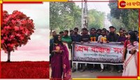 'রেশনে প্রেম' চেয়ে মিছিল? প্রেমের অসম বণ্টনের প্রতিবাদে ১৪ মিনিট নীরবতা বিশ্ববিদ্যাল