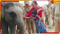 পৃথিবীর রূপ, রং, সৌন্দর্য না দেখলেও, শুধু স্পর্শেই ওঁরা চিনলেন হাতিকে...