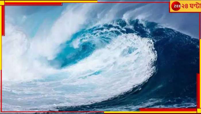 Tsunami: ধেয়ে আসছে সুনামি... জানা যাবে কয়েক সেকেন্ডেই!