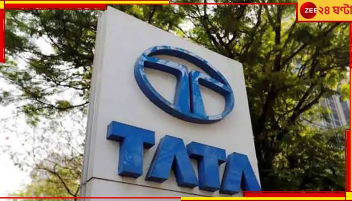 Tata Group: ৩০ লক্ষ কোটি টাকার মূলধন! পাক অর্থনীতিকে ছাপিয়ে গেল টাটা 