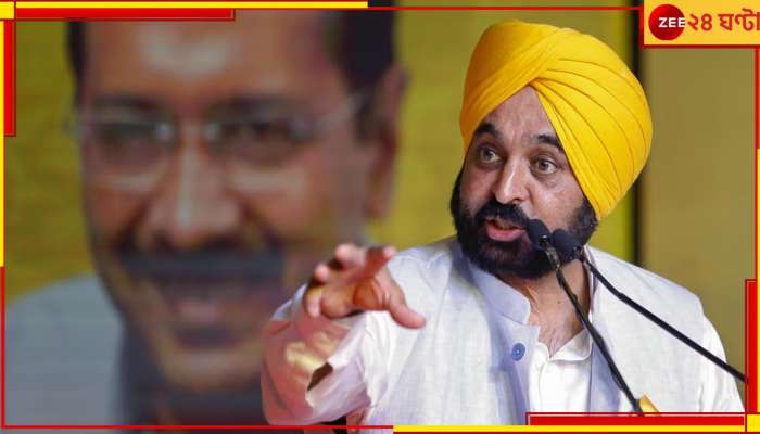 Khalistani Remark: 'পঞ্জাবিদের কাছে ক্ষমা চাওয়া উচিৎ', খালিস্তানি মন্তব্যে বিজেপিকে নিশানা ভগবন্ত মানের 