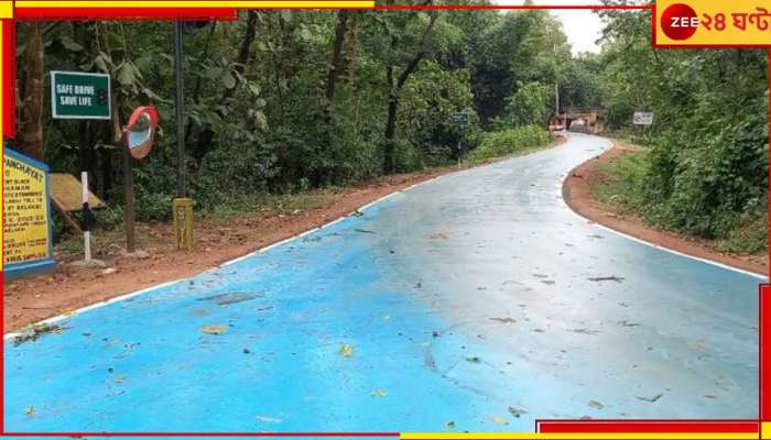 Blue Road: রাজ্যে প্রথম, দেশে দ্বিতীয়! পরিবেশবান্ধব &#039;নীল&#039; রাস্তা মেমারিতে...