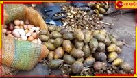 সুপারি চাষেই বিকল্প আয়ের নতুন দিশা জলপাইগুড়িতে