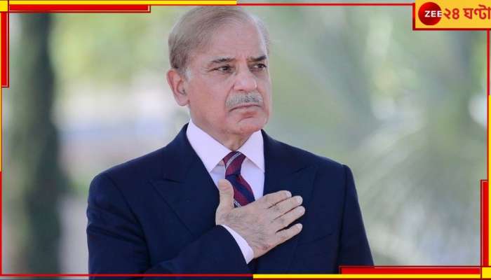 Shehbaz Sharif: দ্বিতীয়বারের জন্য পাকিস্তানের প্রধানমন্ত্রী হলেন শাহবাজ শরিফ...
