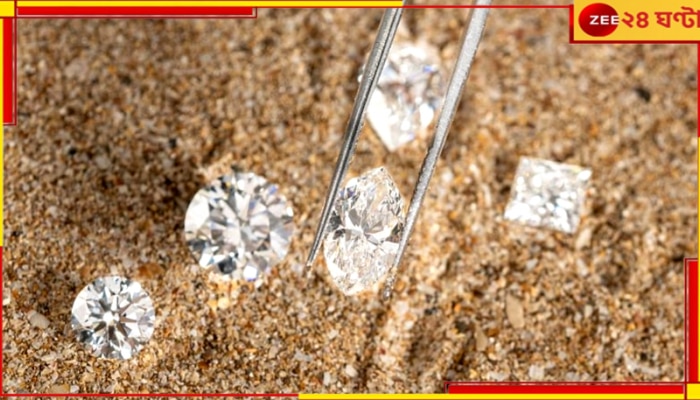 Diamonds In The Desert: হীরক রাজ্য হাতের মুঠোয়! মরুভূমিতে রাশি রাশি &#039;মহা&#039; রত্নের চাষ...