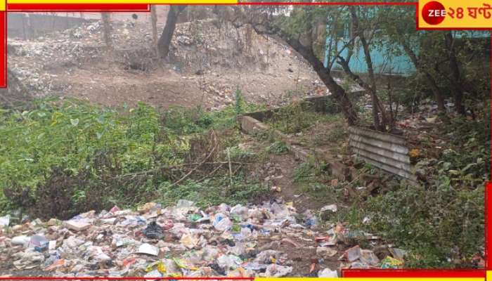 Asansol: পুরনিগমের নাকের ডগায় পুকুর বুজিয়ে ফেলছে জমি মাফিয়ারা! আন্দোলনে এলাকাবাসী... 