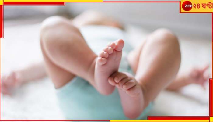 Births Crisis: অচিরেই বিশ্ব জুড়ে সব দেশে ঘনাবে অন্ধকার! জন্মহার কমবে ভয়ংকর হারে...