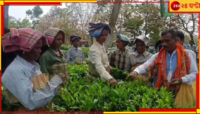 ভোটবাক্সে পাখির চোখ চা-বাগানের ভোটব্যাংক, জোরদার প্রচারে বিজেপি ও বাম প্রার্থী!