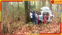 নিয়ন্ত্রণ হারিয়ে গাড়ি ঢুকে গেল জঙ্গলে, আহত কলকাতার একাধিক পর্যটক...