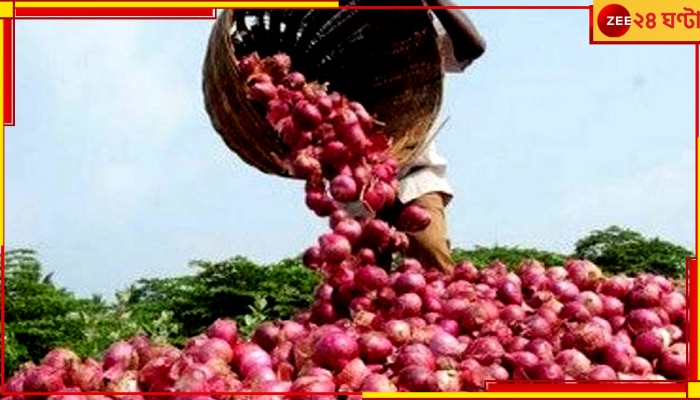Onion Price in Bangladesh: ট্রেনে চেপে পেঁয়াজ এল ভারত থেকে, ঈদের মুখে হাসি বাংলাদেশে