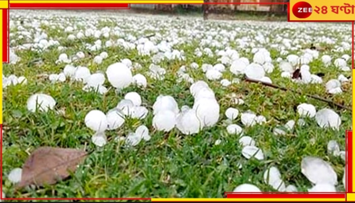 Hailstorm In Sandakphu: মুহূর্তের মধ্যে সাদা পোশাকে ঢাকল সবুজ ঘাস, সান্দাকফুতে শিলাবৃষ্টি...
