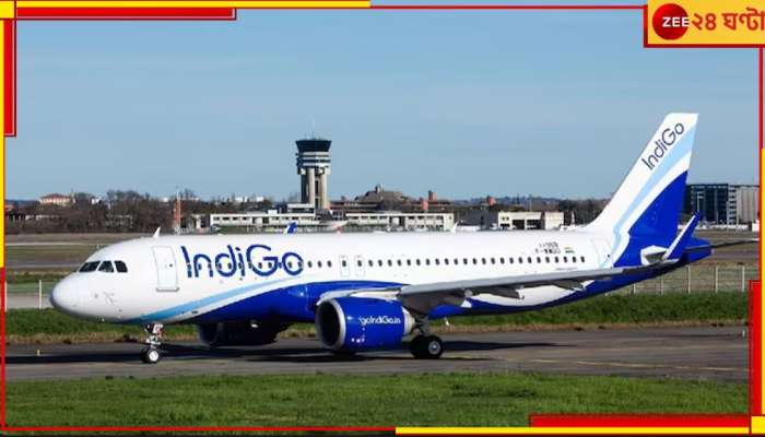 Indigo: জ্বালানি বাকি মাত্র ১-২ মিনিটের, ইন্ডিগো উড়ানে &#039;দুঃস্বপ্নের জার্নি&#039;! শেষে...