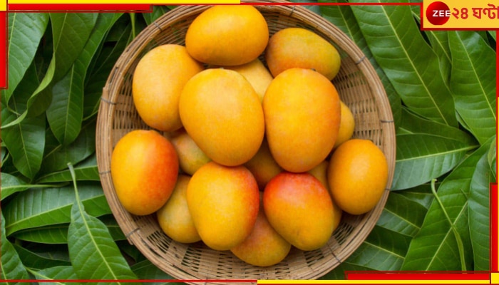 Mango Cultivation: মনকে শক্ত করুন, এবারে পাতে পাবেন না আম...