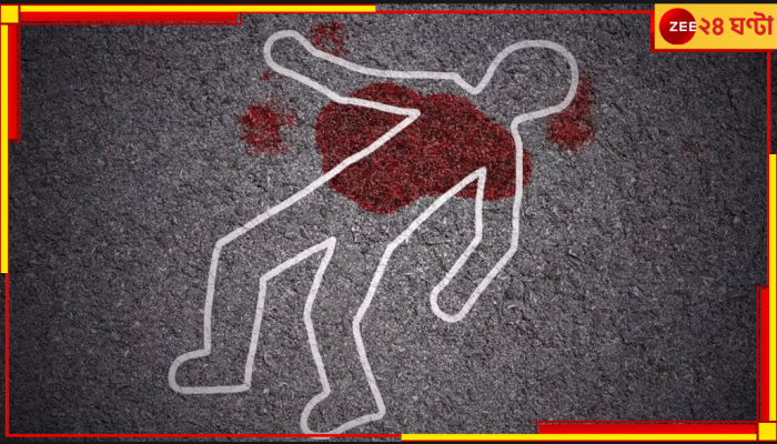 Uttar Pradesh Murder: বোনের বিয়েতে টিভি গিফট, স্বামীর উপর খেপে খুনই করিয়ে দিল স্ত্রী