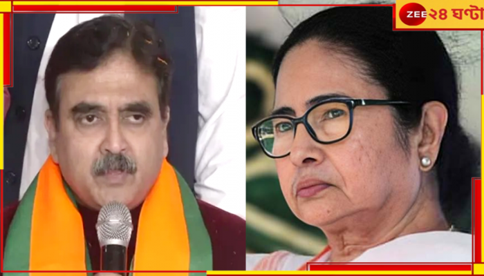 Mamata Banerjee| Abhijit Ganguly: 'মমতা এ দেশেরই নয়, তিনি রোহিঙ্গা!' মুখ্যমন্ত্রীকে বেনজির আক্রমণ অভিজিতের...