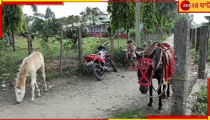 Malbazar: অজ্ঞাতবাস ছেড়ে মূর্তিতে স্বমূর্তিতে হাজির! আর হঠাৎই &#039;কালী&#039;-দর্শনে উল্লসিত পর্যটকদল...