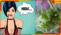 শীতল মহিলাদেরও কামুক করে এই ফল! আরও অনেক গুণ...