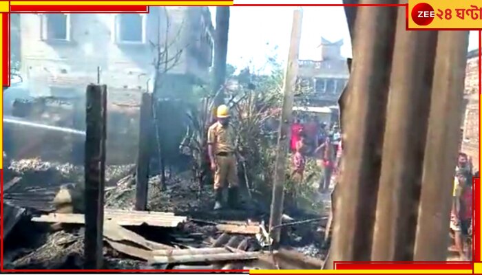 Katwa Fire: কাটোয়ায় বিধ্বংসী অগ্নিকাণ্ডে ভষ্মীভূত ১৭ বাড়ি, মৃত ৯০ গৃহপালিত পশু 