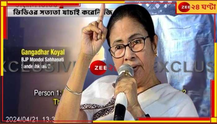 Mamata Banerjee: 'সন্দেশখালির স্টিং ভিডিয়ো প্রমাণ করে বিজেপি ভিতর থেকেই পচা'