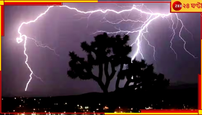 Lightning Safety Rules: বদলাচ্ছে আবহাওয়া, বজ্রপাতের সময়ে বাইরে থাকলে কী করবেন