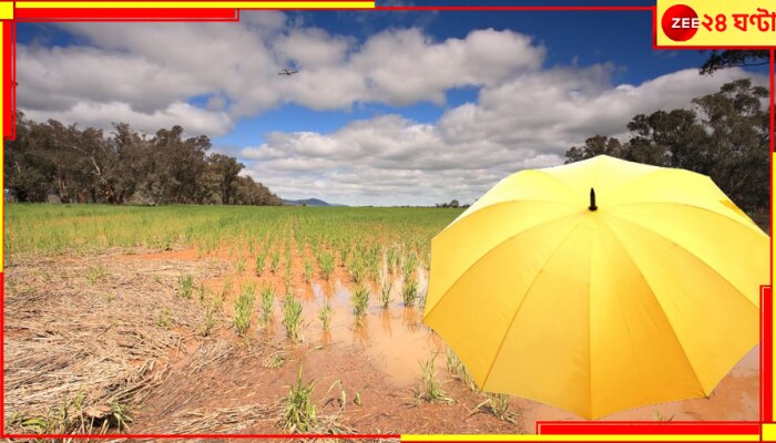 Yellow Alert: রাজ্যে জারি এবার হলুদ সতর্কতা! কত বেগে বইবে হাওয়া? ঝড়-জলই-বা কতটা ভয়ংকর হয়ে উঠবে?
