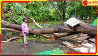 স্বস্তির বৃষ্টি নিয়ে এল ধ্বংস! ঝড়ে-শিলাবৃষ্টিতে তছনছ কলকাতা... 