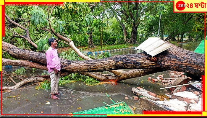 West Bengal Weather Update: স্বস্তির বৃষ্টি নিয়ে এল ধ্বংস! ঝড়ে-শিলাবৃষ্টিতে তছনছ কলকাতা... 