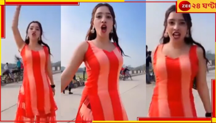 Viral Video: হাইওয়েতে পিস্তল হাতে রিলের শ্যুটিং! আইনের জালে তরুণী...