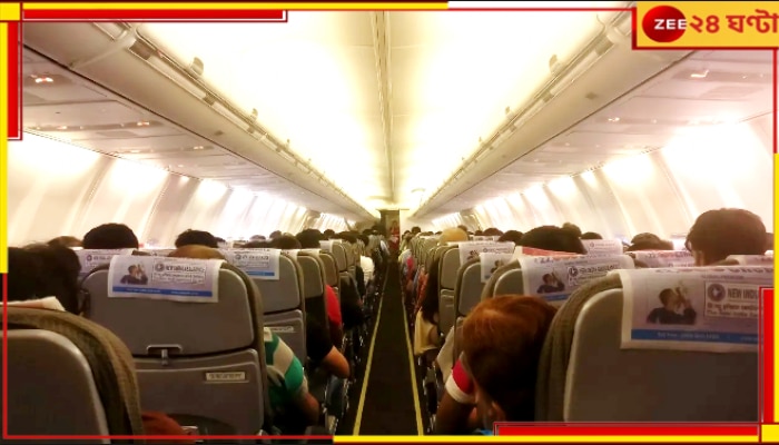 Thief In Flight: আকাশপথে সাবধান! অভিজ্ঞ &#039;অভিজাত&#039; চোর আপনার পাশের সিটেই, সামলে রাখুন টাকা-গয়না-মোবাইল...