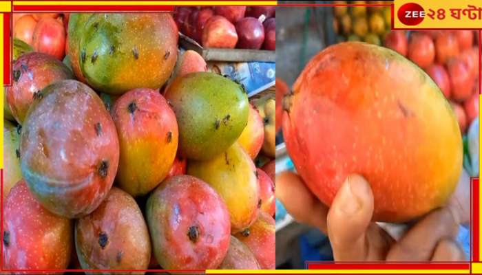 Mango Cultivation: তীব্র দাবদাহ, বৃষ্টি নেই!  ব্যাপক ক্ষতির মুখে আমের ফলন, মাথায় হাত চাষিদের 