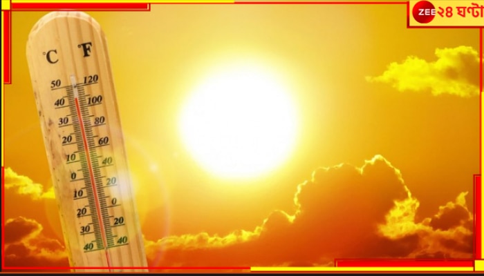Heatwave: তাপমাত্রার &#039;হাফ সেঞ্চুরি&#039;! ৫০-য়ে হাঁসফাঁস জনজীবন, হিটস্ট্রোকে মৃত্যু দেশ জুড়ে তৈরি করেছে ঘোর আতঙ্ক...