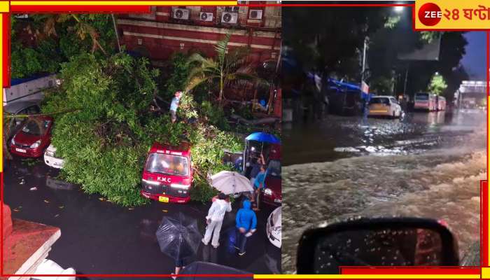 Cyclone Remal Latest Update: রিমাল কাড়ল প্রাণ কলকাতাতেও! আলিপুরে 'রেকর্ড' ১৪৬ মিলিমিটার বৃষ্টি...