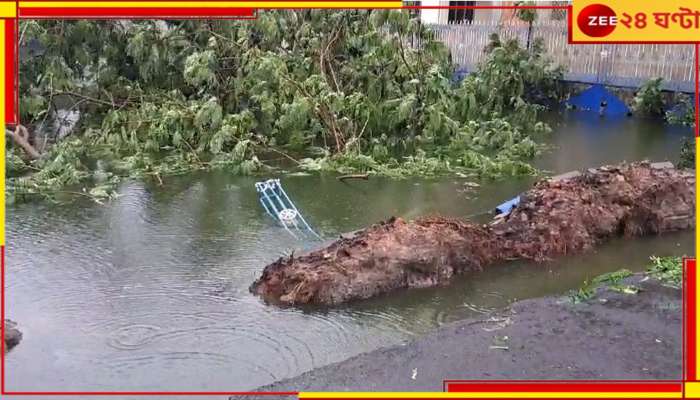 Bengal Weather: শক্তি হারিয়ে গভীর নিম্নচাপে পরিণত রিমাল, প্রবল বৃষ্টির আশঙ্কা বেশ কয়েকটি জেলায়...