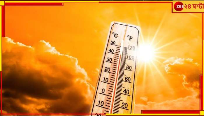 Severe Heatwave: &#039;আগুনের গোলা&#039; উত্তরপ্রদেশ-বিহার, তীব্র গরম-তাপপ্রবাহে ১০ ভোটকর্মী সহ মৃত কমপক্ষে ২০০!