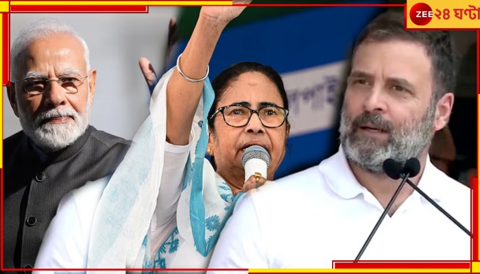 Lok Sabha Election 2024 Result:  কোমর বাঁধছে এনডিএ-ইন্ডিয়া ব্লক, জেনে নিন কোন দল পেল কত আসন