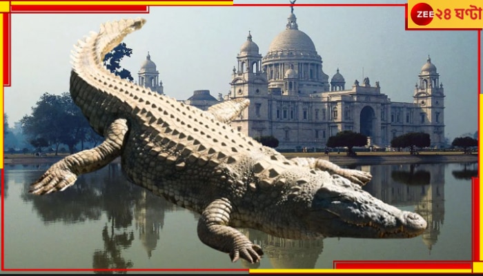 Crocodile in Kolkata: এবার খোদ কলকাতায় ভয়ংকর কুমির! আতঙ্ক গঙ্গার ঘাটে-ঘাটে...