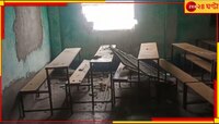 গভীর রাতে একসঙ্গে ৯-১০টি হাতি হামলা  চালাল স্কুলে, ভাঙল দরজা-জানলা...