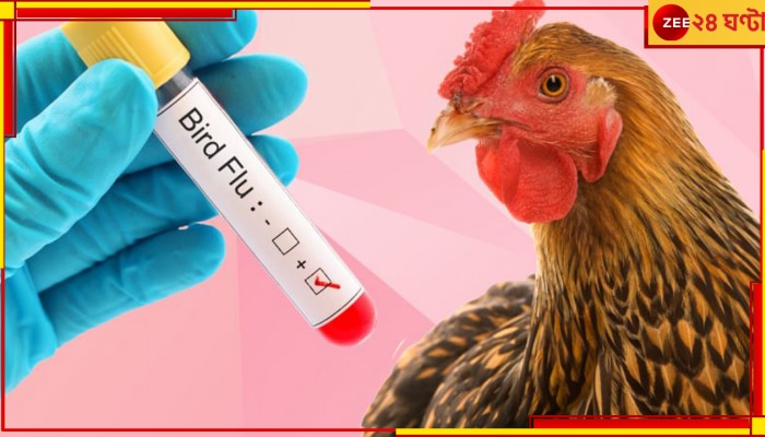 Bird Flu: আতঙ্ক বাড়িয়ে বার্ড ফ্লু দেখা মিলল বাংলায়, আক্রান্ত ৪ বছরের শিশু