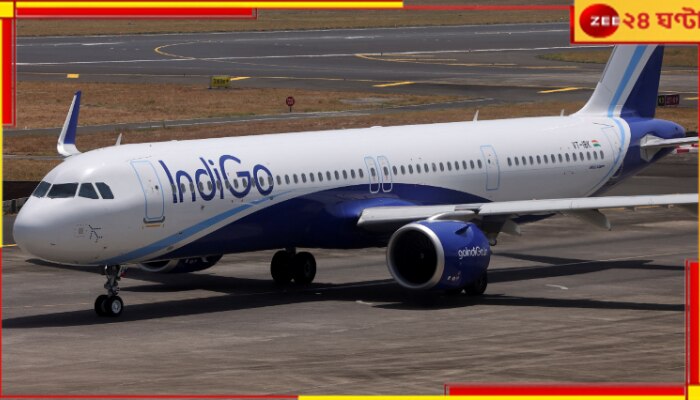 IndiGo flight delay: তেতে পুড়ে আছে মাটি, দুর্ঘটনা এড়াতে ৩ ঘণ্টা দেরিতে উড়ল বাংলামুখী ফ্লাইট...