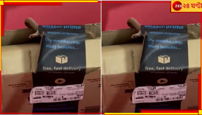 Amazon Package: অ্যামাজনের প্যাকেট এল ঘরে, বিষাক্ত এক গোখরো তাতে নড়ে...